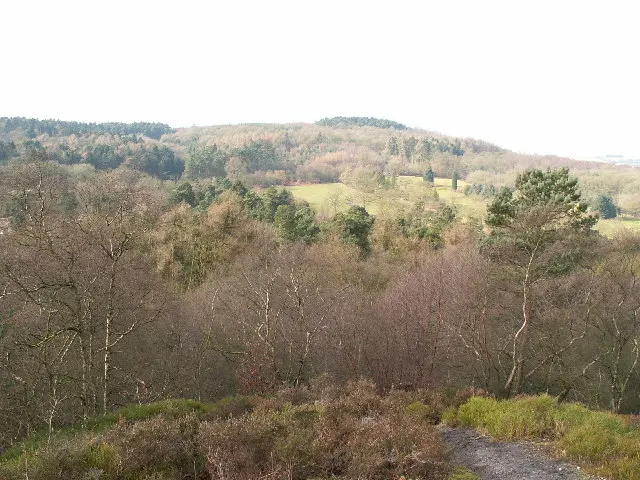 Lickey Hills Country Park, the local landmark of B45