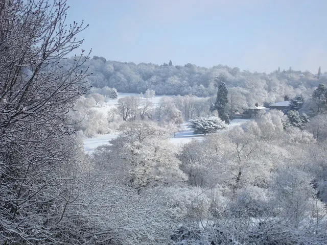 The Leasowes, the local landmark of B62