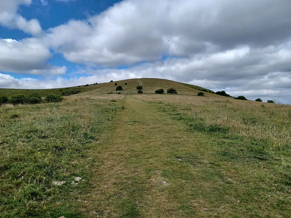 Wolstonbury Hill, the local landmark of BN45
