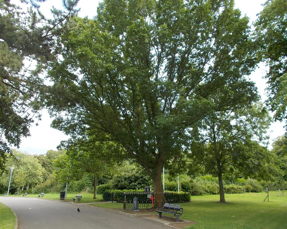 Woodvale Park, the local landmark of BT13