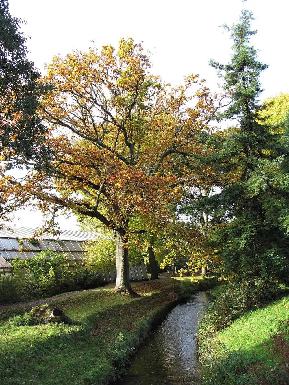 Roath Park, the local landmark of CF23