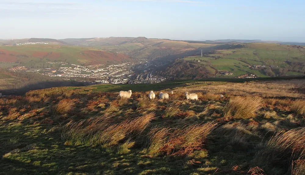 Mynydd y Glyn, the local landmark of CF39