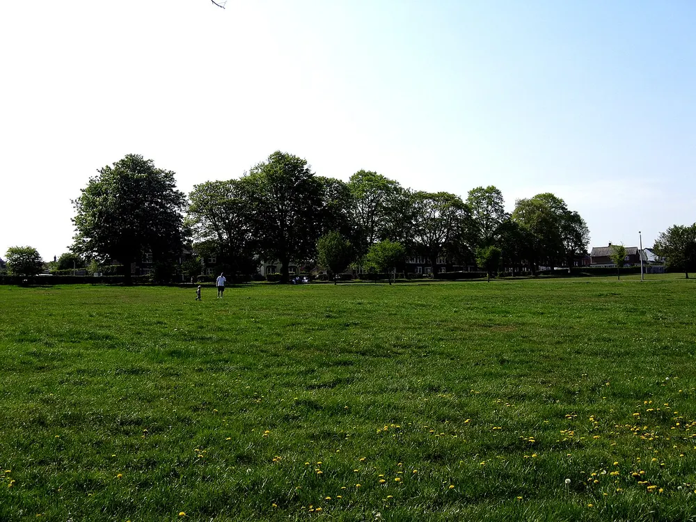 Caterham Common, the local landmark of CR3