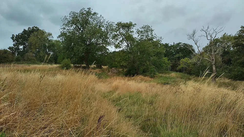 Fillongley Castle, the local landmark of CV7