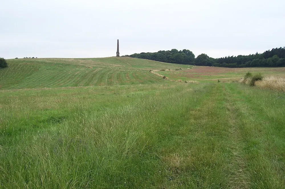 Wychbury Hill, the local landmark of DY9