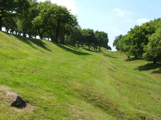 Seabegs Wood, the local landmark of FK4