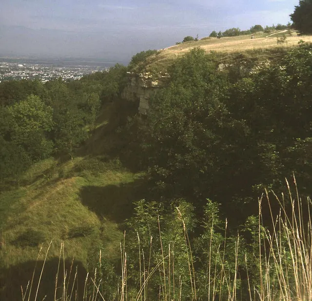 Leckhampton Hill and Charlton Kings Common, the local landmark of GL53