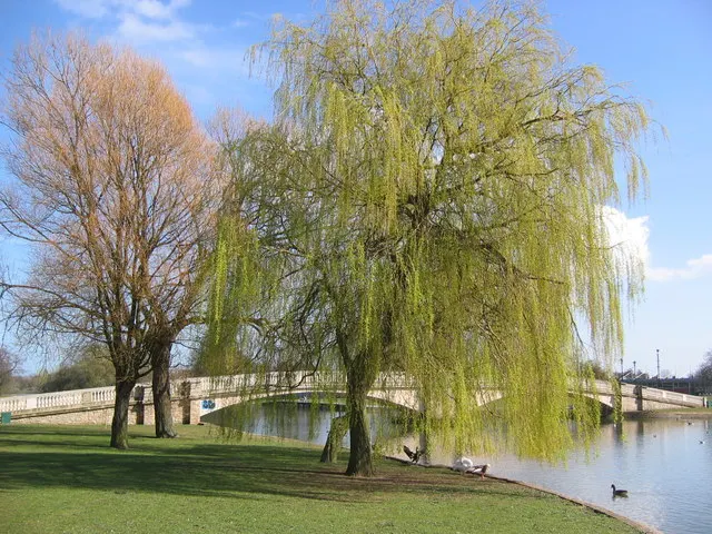 East Park, Kingston upon Hull, the local landmark of HU8