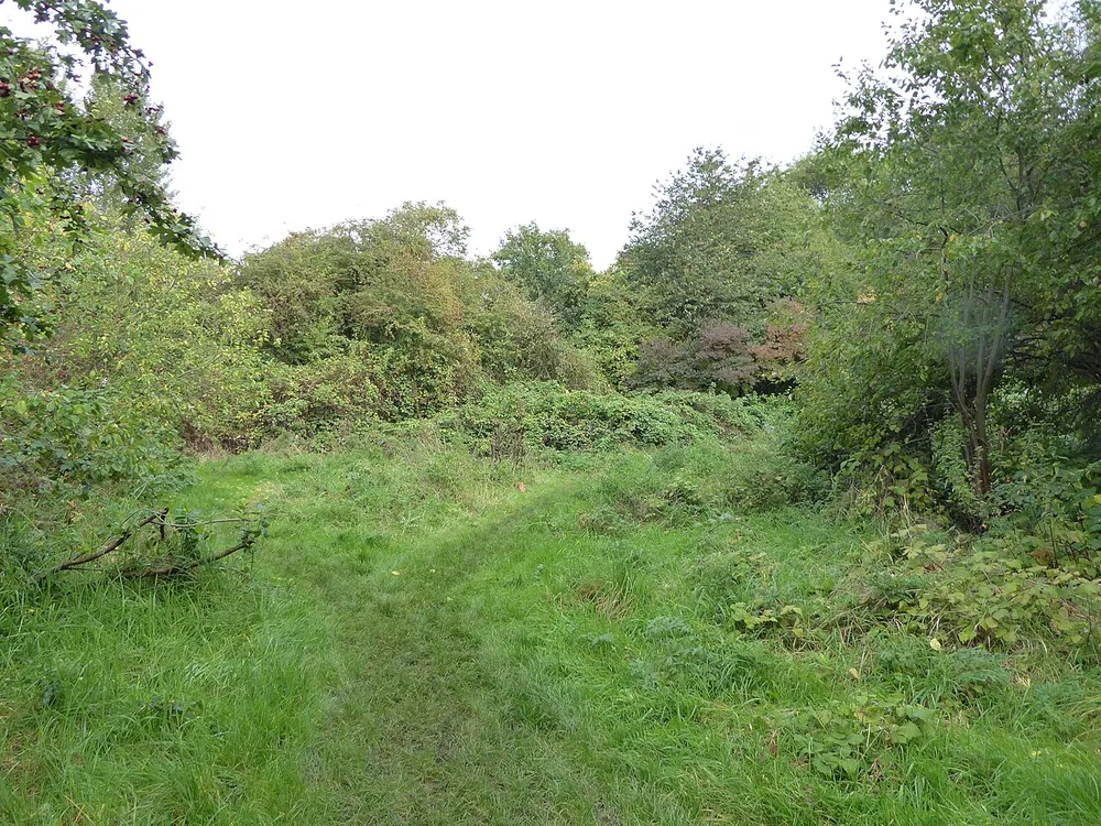 Humberstone Park LNR, the local landmark of LE5