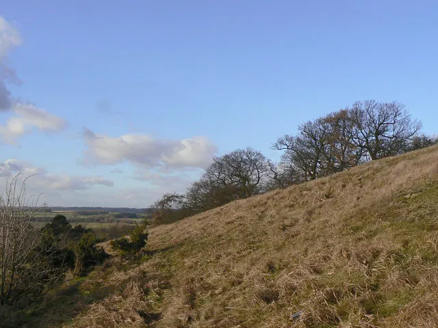 Croft Hill, the local landmark of LE9
