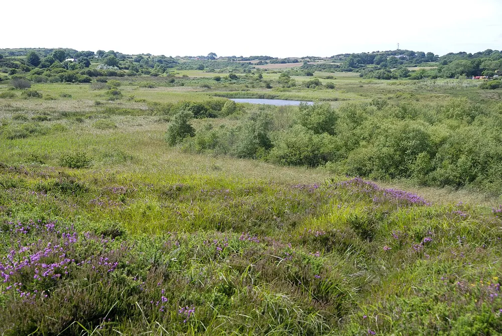 Cors Goch National Nature Reserve (Anglesey), the local landmark of LL78