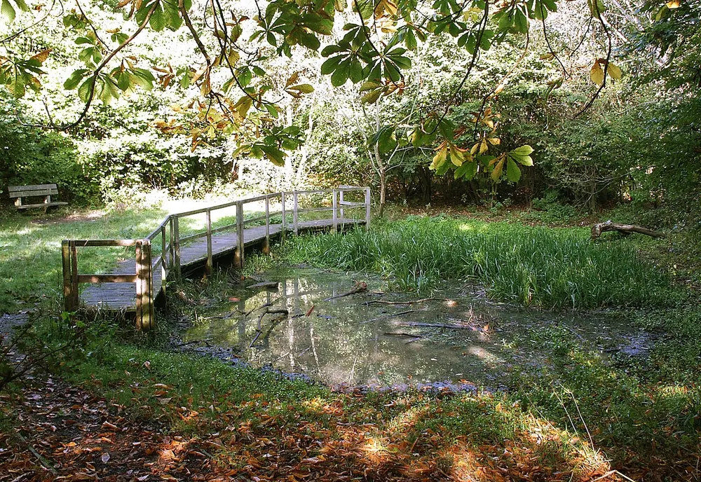 Highfield Country Park, the local landmark of M19
