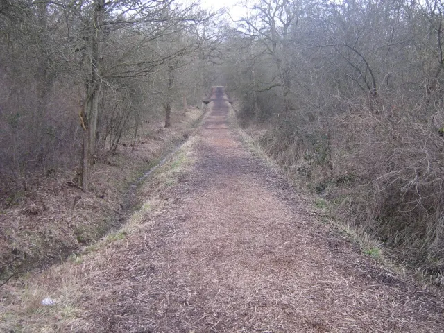 Howe Park Wood, the local landmark of MK4