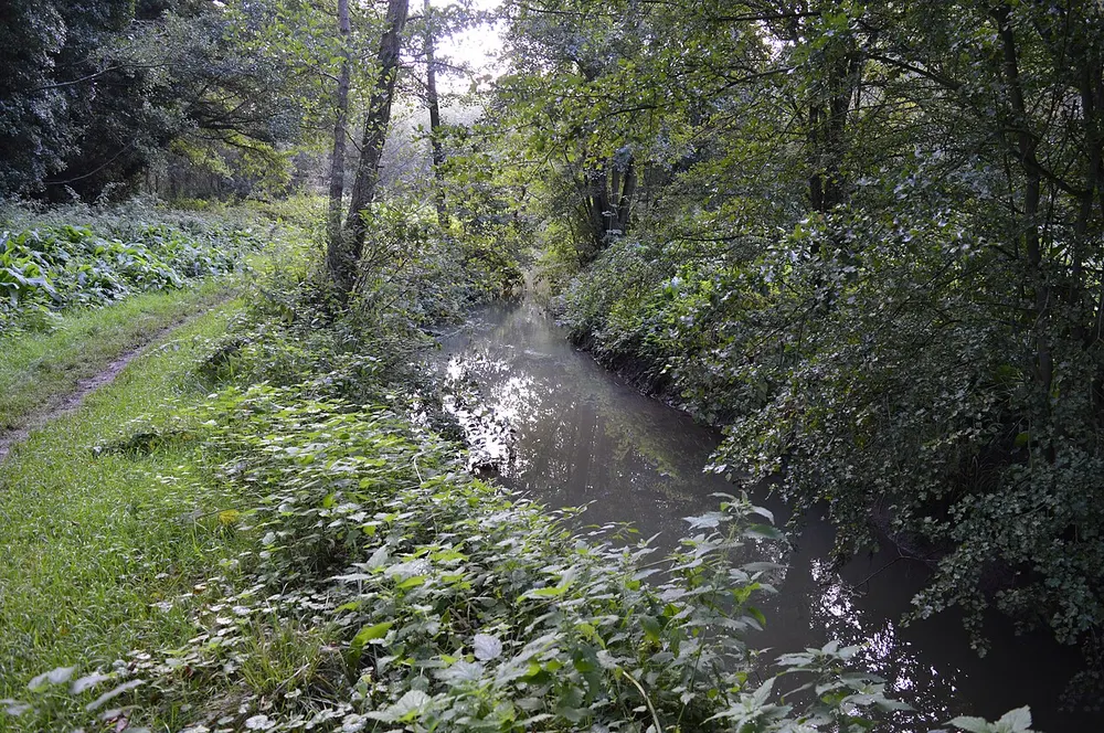 Flitwick Moor, the local landmark of MK45