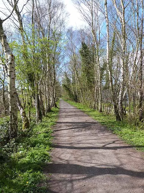 Derwent Park (Rowlands Gill), the local landmark of NE39