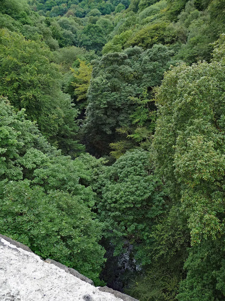 Healey Dell Viaduct, the local landmark of OL12