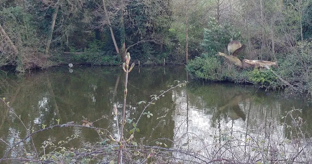 Maiden Erlegh Lakes, the local landmark of RG6